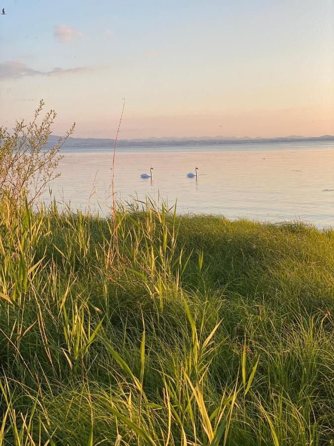 Ferien-Apartment Eisvogel Im Naturschutzgebiet Mit Privatstrand フリードリヒスハーフェン エクステリア 写真