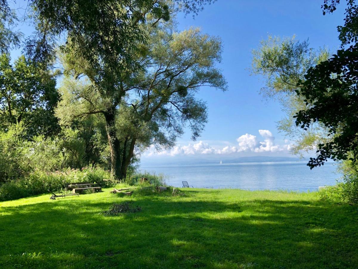 Ferien-Apartment Eisvogel Im Naturschutzgebiet Mit Privatstrand フリードリヒスハーフェン エクステリア 写真