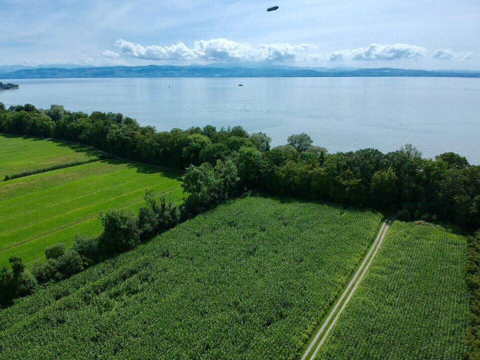 Ferien-Apartment Eisvogel Im Naturschutzgebiet Mit Privatstrand フリードリヒスハーフェン エクステリア 写真